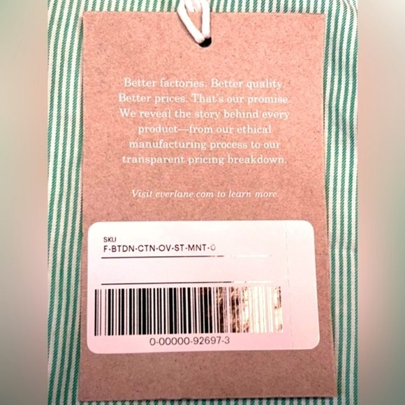 NWT Everlane Mint Pinstriped The Silky Cotton Relaxed Shirt, Oversized, Size 0 - Picture 12 of 14